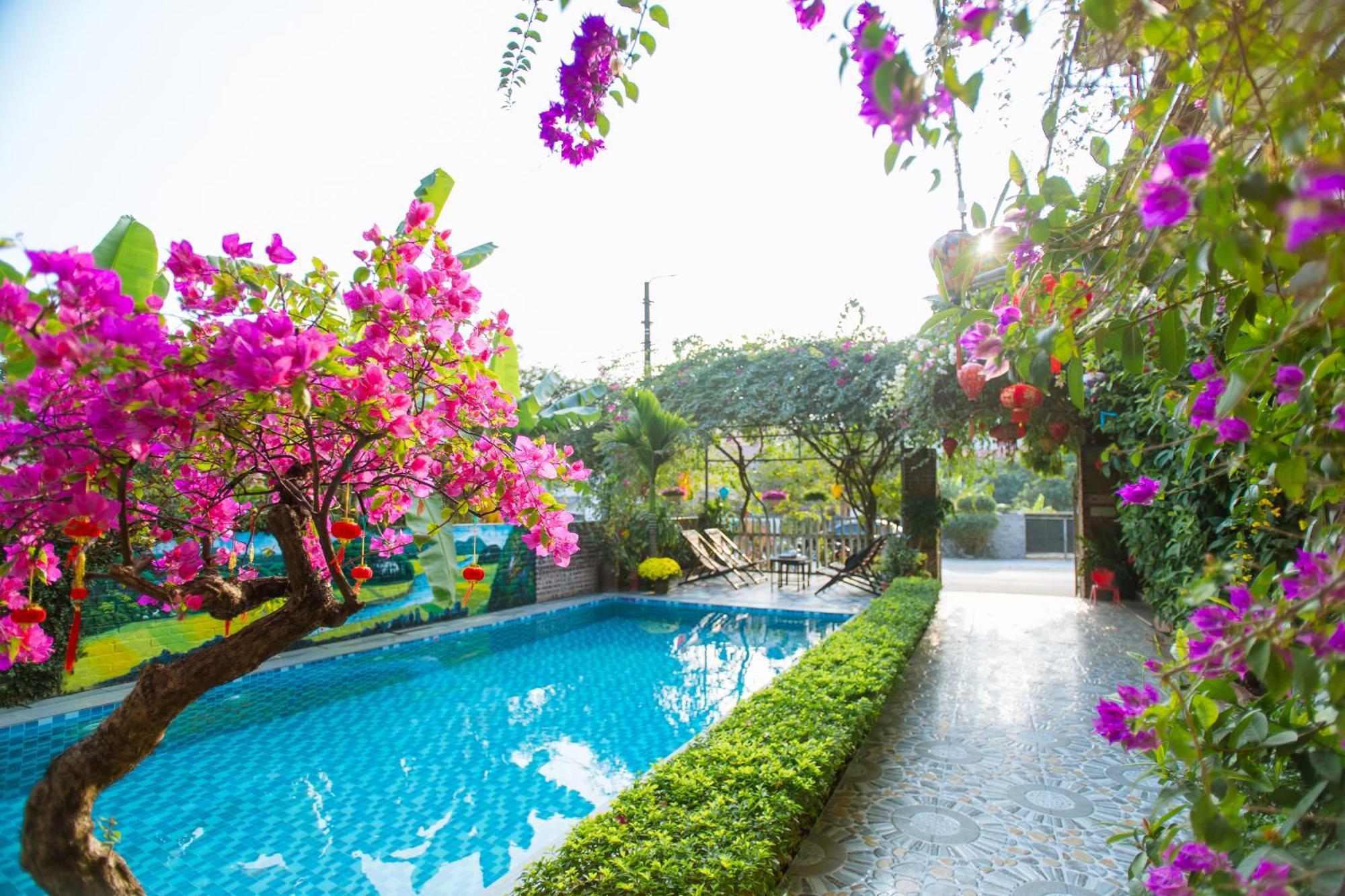 Tam Coc Viet Ha Homestay Ninh Bình Ngoại thất bức ảnh
