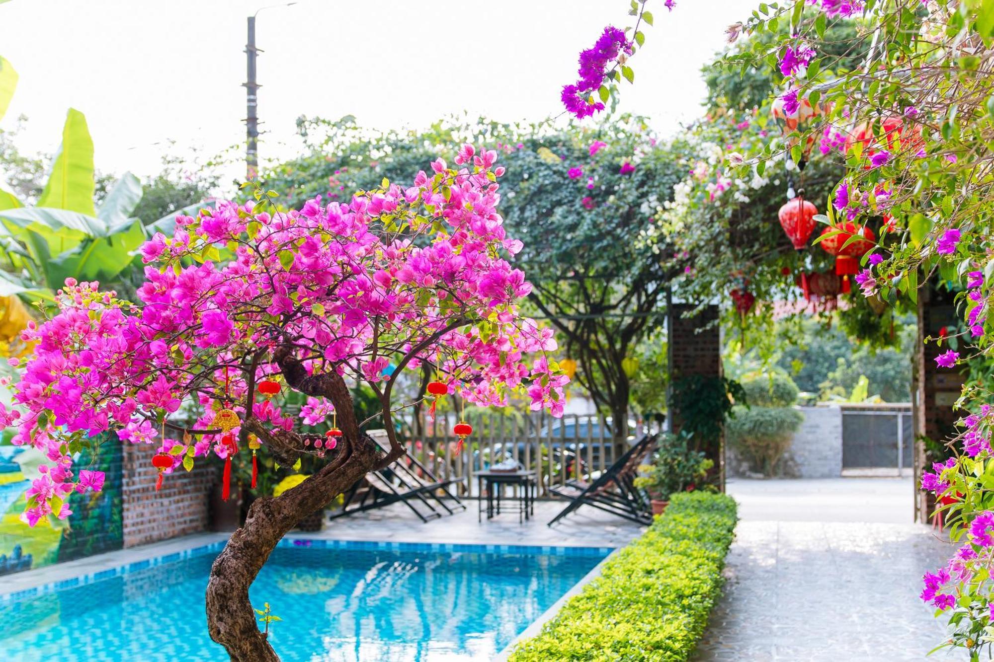 Tam Coc Viet Ha Homestay Ninh Bình Ngoại thất bức ảnh